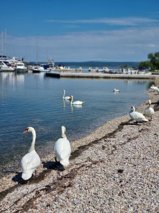 Apartments Radman Šibenik Eksteriør bilde